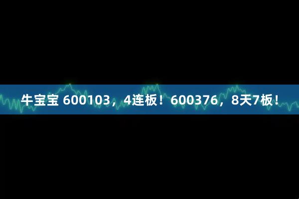 牛宝宝 600103，4连板！600376，8天7板！