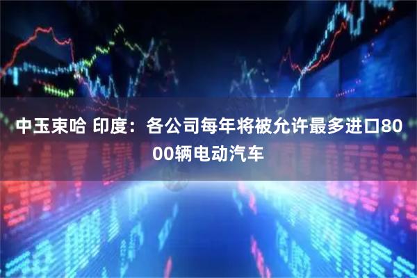 中玉束哈 印度：各公司每年将被允许最多进口8000辆电动汽车