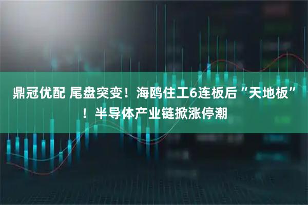 鼎冠优配 尾盘突变！海鸥住工6连板后“天地板”！半导体产业链掀涨停潮