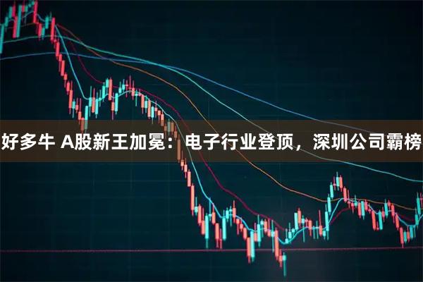 好多牛 A股新王加冕：电子行业登顶，深圳公司霸榜