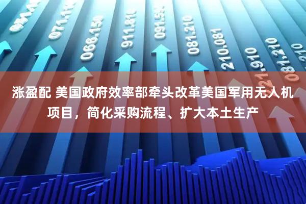 涨盈配 美国政府效率部牵头改革美国军用无人机项目，简化采购流程、扩大本土生产